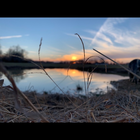 Welcome, come say hello!💕✨ - Picture 2 of 11